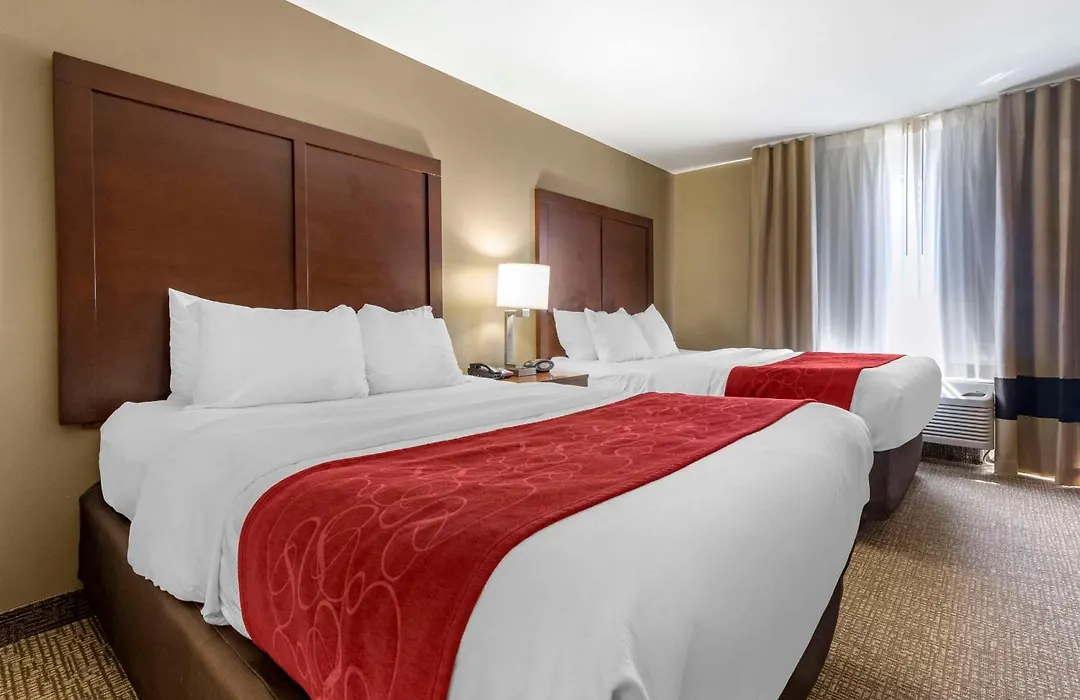 Comfort Suites Bridgeport - Clarksburg-1